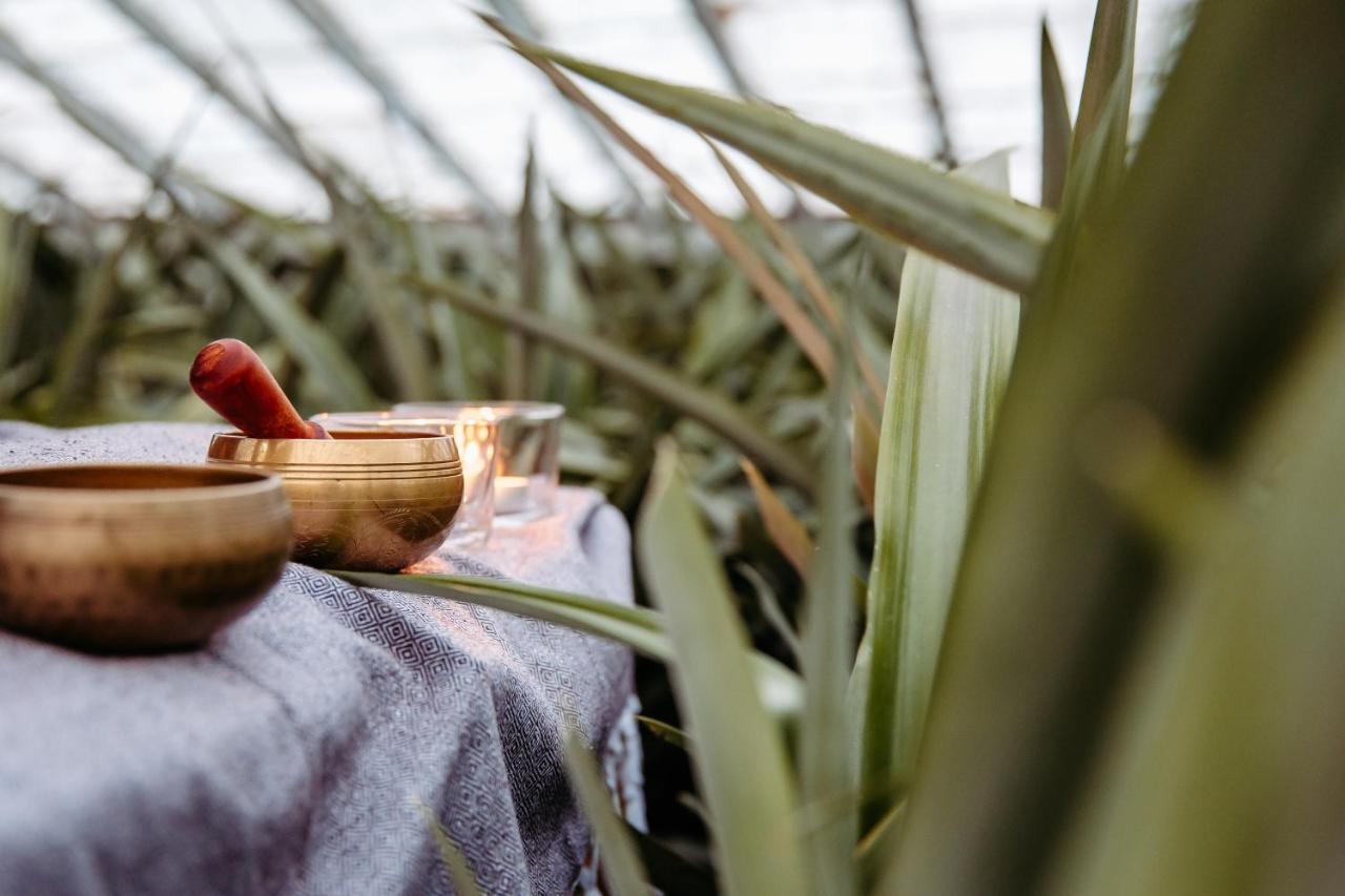 Herdade Do Ananas Ponta Delgada  Ngoại thất bức ảnh